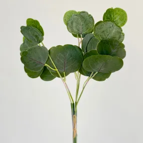 Eucalyptus Bouquet